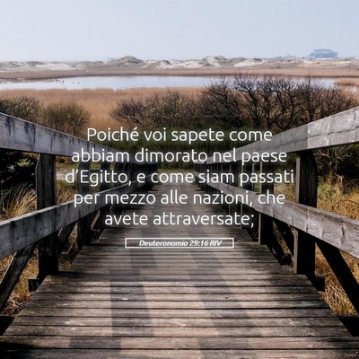 Picture 05 - Deuteronomio 29:16 RIV - Poiché voi sapete come abbiam dimorato nel paese - Bible Verse Picture