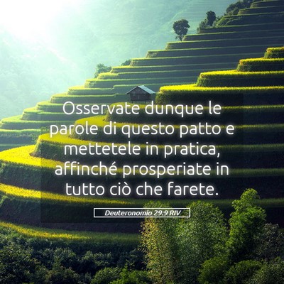 Picture 05 - Deuteronomio 29:9 RIV - Osservate dunque le parole di questo patto e - Bible Verse Picture
