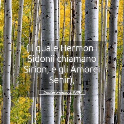 Picture 05 - Deuteronomio 3:9 RIV - (il quale Hermon i Sidonii chiamano Sirion, e gli - Bible Verse Picture