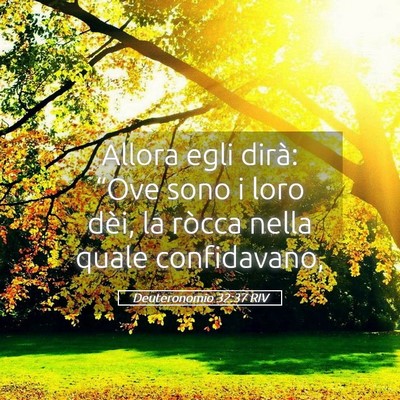 Picture 05 - Deuteronomio 32:37 RIV - Allora egli dirà: “Ove sono i loro dèi, la - Bible Verse Picture