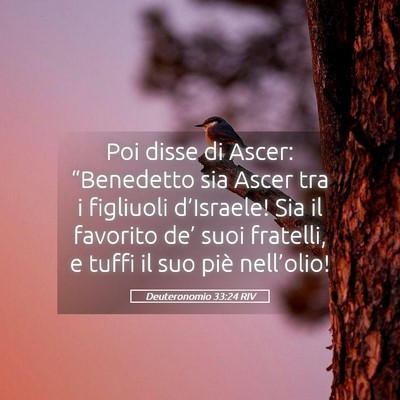 Picture 05 - Deuteronomio 33:24 RIV - Poi disse di Ascer: “Benedetto sia Ascer tra i - Bible Verse Picture