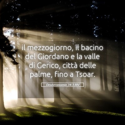 Picture 05 - Deuteronomio 34:3 RIV - il mezzogiorno, il bacino del Giordano e la valle - Bible Verse Picture