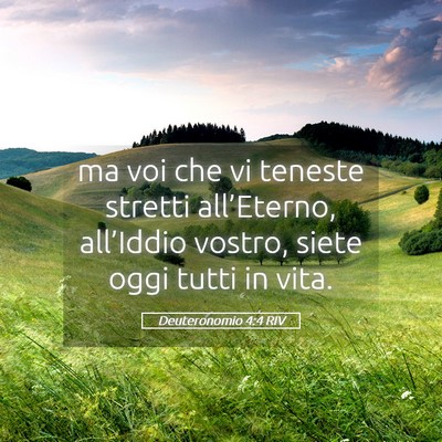 Picture 05 - Deuteronomio 4:4 RIV - ma voi che vi teneste stretti all’Eterno, - Bible Verse Picture