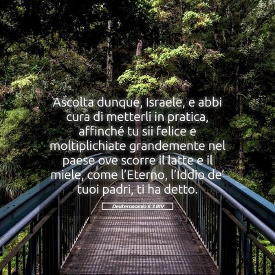 Picture 05 - Deuteronomio 6:3 RIV - Ascolta dunque, Israele, e abbi cura di metterli - Bible Verse Picture