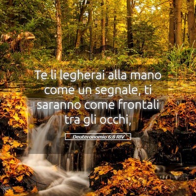 Picture 05 - Deuteronomio 6:8 RIV - Te li legherai alla mano come un segnale, ti - Bible Verse Picture