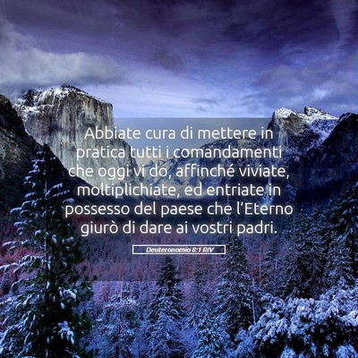 Picture 05 - Deuteronomio 8:1 RIV - Abbiate cura di mettere in pratica tutti i - Bible Verse Picture