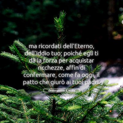 Picture 05 - Deuteronomio 8:18 RIV - ma ricordati dell’Eterno, dell’Iddio tuo; - Bible Verse Picture