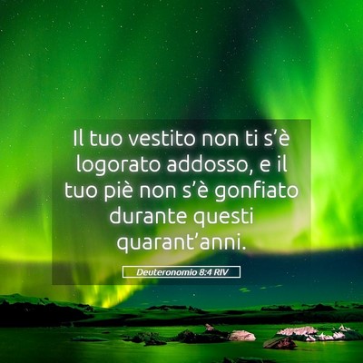Picture 05 - Deuteronomio 8:4 RIV - Il tuo vestito non ti s’è logorato addosso, e - Bible Verse Picture