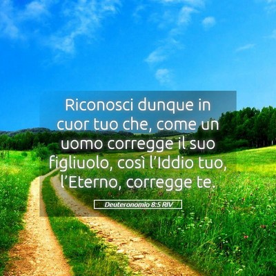 Picture 05 - Deuteronomio 8:5 RIV - Riconosci dunque in cuor tuo che, come un uomo - Bible Verse Picture