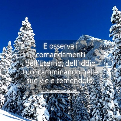 Picture 05 - Deuteronomio 8:6 RIV - E osserva i comandamenti dell’Eterno, - Bible Verse Picture