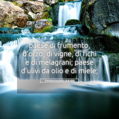 Picture 05 - Deuteronomio 8:8 RIV - paese di frumento, d’orzo, di vigne, di fichi e - Bible Verse Picture