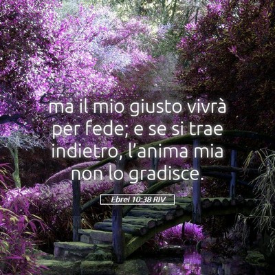 Picture 05 - Ebrei 10:38 RIV - ma il mio giusto vivrà per fede; e se si trae - Bible Verse Picture