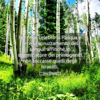 Picture 05 - Ebrei 11:28 RIV - Per fede celebrò la Pasqua e fece lo - Bible Verse Picture