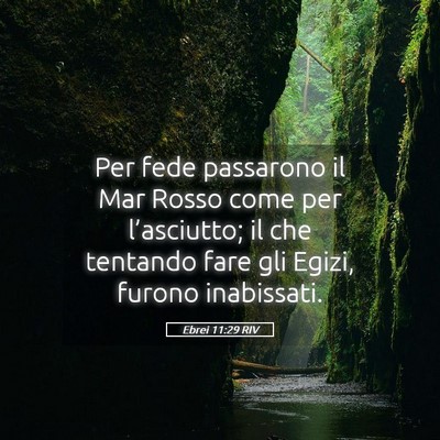 Picture 05 - Ebrei 11:29 RIV - Per fede passarono il Mar Rosso come per - Bible Verse Picture