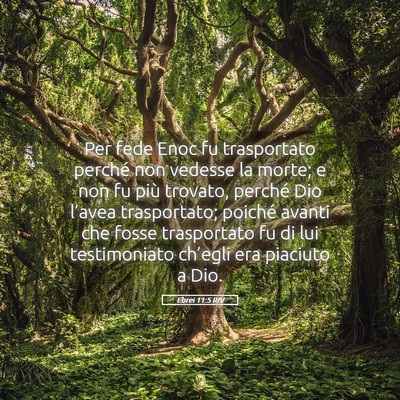 Picture 05 - Ebrei 11:5 RIV - Per fede Enoc fu trasportato perché non vedesse - Bible Verse Picture