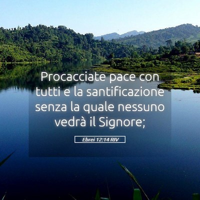 Picture 05 - Ebrei 12:14 RIV - Procacciate pace con tutti e la santificazione - Bible Verse Picture