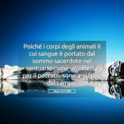 Picture 05 - Ebrei 13:11 RIV - Poiché i corpi degli animali il cui sangue è - Bible Verse Picture