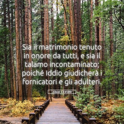 Picture 05 - Ebrei 13:4 RIV - Sia il matrimonio tenuto in onore da tutti, e sia - Bible Verse Picture
