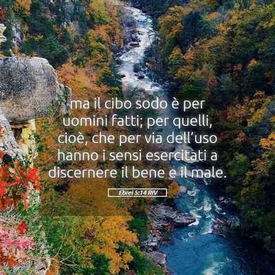 Picture 05 - Ebrei 5:14 RIV - ma il cibo sodo è per uomini fatti; per quelli, - Bible Verse Picture