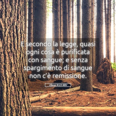 Picture 05 - Ebrei 9:22 RIV - E secondo la legge, quasi ogni cosa è purificata - Bible Verse Picture