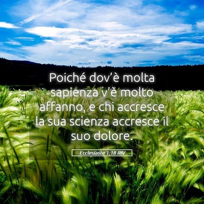 Picture 05 - Ecclesiaste 1:18 RIV - Poiché dov’è molta sapienza v’è molto - Bible Verse Picture