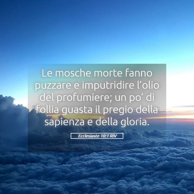 Picture 05 - Ecclesiaste 10:1 RIV - Le mosche morte fanno puzzare e imputridire - Bible Verse Picture