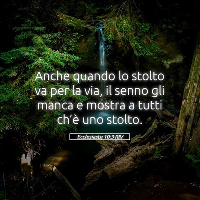 Picture 05 - Ecclesiaste 10:3 RIV - Anche quando lo stolto va per la via, il senno - Bible Verse Picture