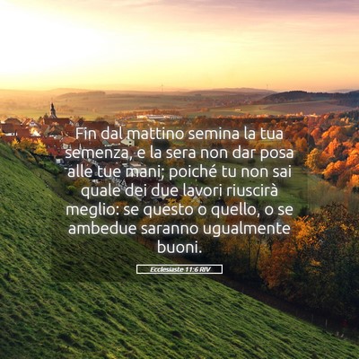 Picture 05 - Ecclesiaste 11:6 RIV - Fin dal mattino semina la tua semenza, e la sera - Bible Verse Picture