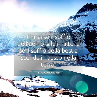 Picture 05 - Ecclesiaste 3:21 RIV - Chi sa se il soffio dell’uomo sale in alto, e - Bible Verse Picture