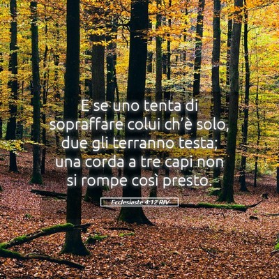 Picture 05 - Ecclesiaste 4:12 RIV - E se uno tenta di sopraffare colui ch’è solo, - Bible Verse Picture