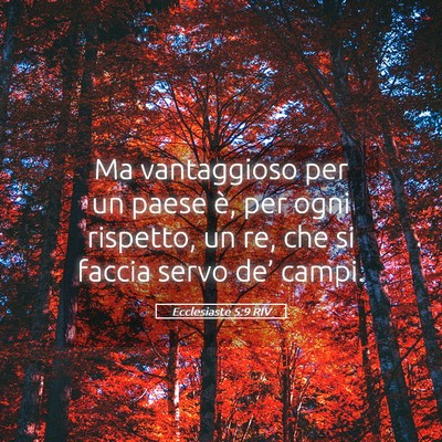 Picture 05 - Ecclesiaste 5:9 RIV - Ma vantaggioso per un paese è, per ogni - Bible Verse Picture