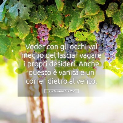 Picture 05 - Ecclesiaste 6:9 RIV - Veder con gli occhi val meglio del lasciar vagare - Bible Verse Picture