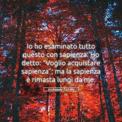 Picture 05 - Ecclesiaste 7:23 RIV - Io ho esaminato tutto questo con sapienza. Ho - Bible Verse Picture