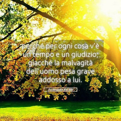 Picture 05 - Ecclesiaste 8:6 RIV - perché per ogni cosa v’è un tempo e un - Bible Verse Picture