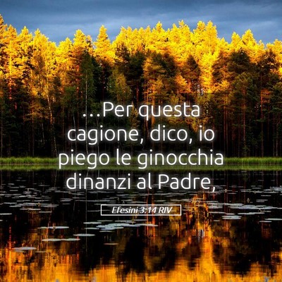 Picture 05 - Efesini 3:14 RIV - …Per questa cagione, dico, io piego le - Bible Verse Picture