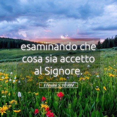 Picture 05 - Efesini 5:10 RIV - esaminando che cosa sia accetto al - Bible Verse Picture