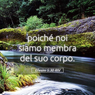 Picture 05 - Efesini 5:30 RIV - poiché noi siamo membra del suo - Bible Verse Picture