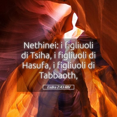 Picture 05 - Esdra 2:43 RIV - Nethinei: i figliuoli di Tsiha, i figliuoli di - Bible Verse Picture