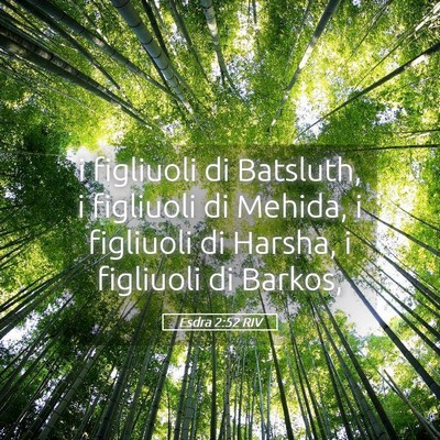 Picture 05 - Esdra 2:52 RIV - i figliuoli di Batsluth, i figliuoli di Mehida, i - Bible Verse Picture