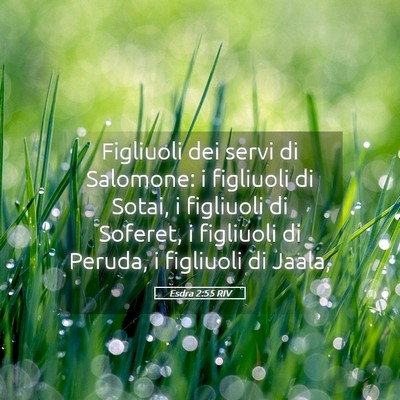 Picture 05 - Esdra 2:55 RIV - Figliuoli dei servi di Salomone: i figliuoli di - Bible Verse Picture