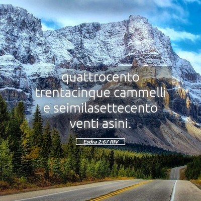 Picture 05 - Esdra 2:67 RIV - quattrocento trentacinque cammelli e - Bible Verse Picture