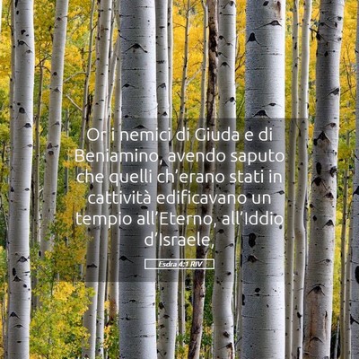 Picture 05 - Esdra 4:1 RIV - Or i nemici di Giuda e di Beniamino, avendo - Bible Verse Picture