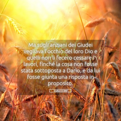 Picture 05 - Esdra 5:5 RIV - Ma sugli anziani dei Giudei vegliava l’occhio - Bible Verse Picture