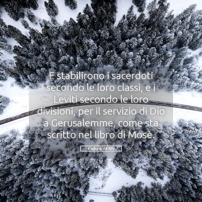 Picture 05 - Esdra 6:18 RIV - E stabilirono i sacerdoti secondo le loro classi, - Bible Verse Picture