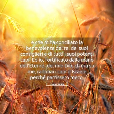 Picture 05 - Esdra 7:28 RIV - e che m’ha conciliato la benevolenza del re, - Bible Verse Picture