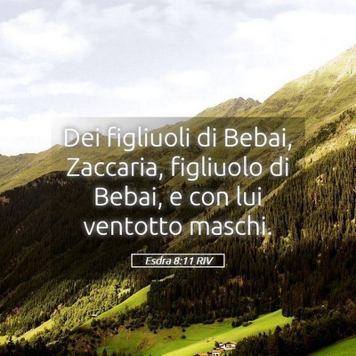Picture 05 - Esdra 8:11 RIV - Dei figliuoli di Bebai, Zaccaria, figliuolo di - Bible Verse Picture