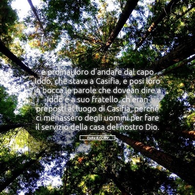 Picture 05 - Esdra 8:17 RIV - e ordinai loro d’andare dal capo Iddo, che - Bible Verse Picture
