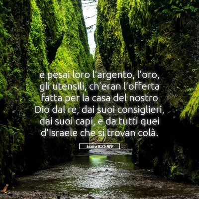 Picture 05 - Esdra 8:25 RIV - e pesai loro l’argento, l’oro, gli utensili, - Bible Verse Picture