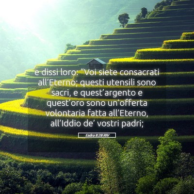 Picture 05 - Esdra 8:28 RIV - e dissi loro: “Voi siete consacrati - Bible Verse Picture