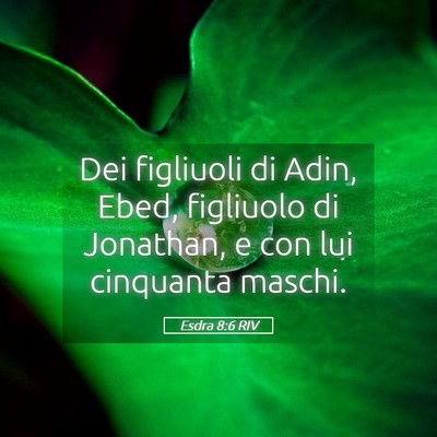 Picture 05 - Esdra 8:6 RIV - Dei figliuoli di Adin, Ebed, figliuolo di - Bible Verse Picture